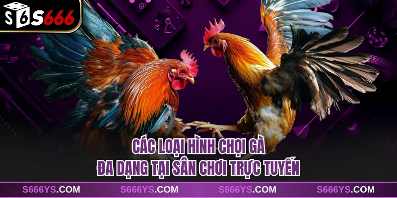 Các loại hình chọi gà đa dạng tại sân chơi trực tuyến