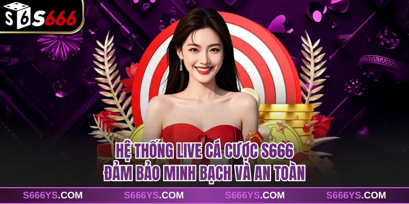 Hệ thống live cá cược S666 đảm bảo minh bạch và an toàn