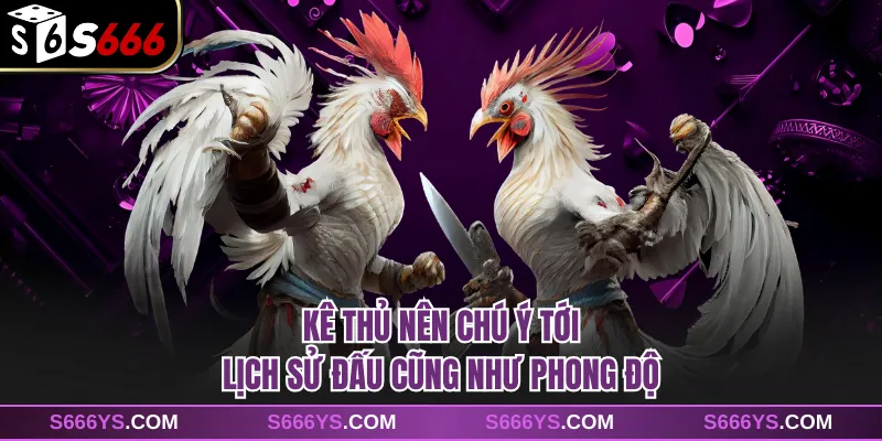 Kê thủ nên chú ý tới lịch sử đấu cũng như phong độ